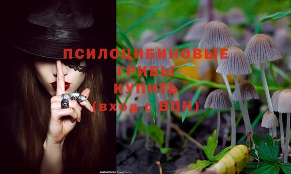 таблы Абинск