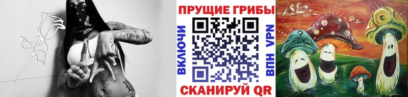 Галлюциногенные грибы прущие грибы omg ссылки Яранск купить наркотик